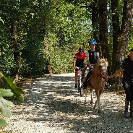- Domaine Des Montis